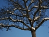 img_0070 img_0070