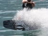 img_9603 img_9603